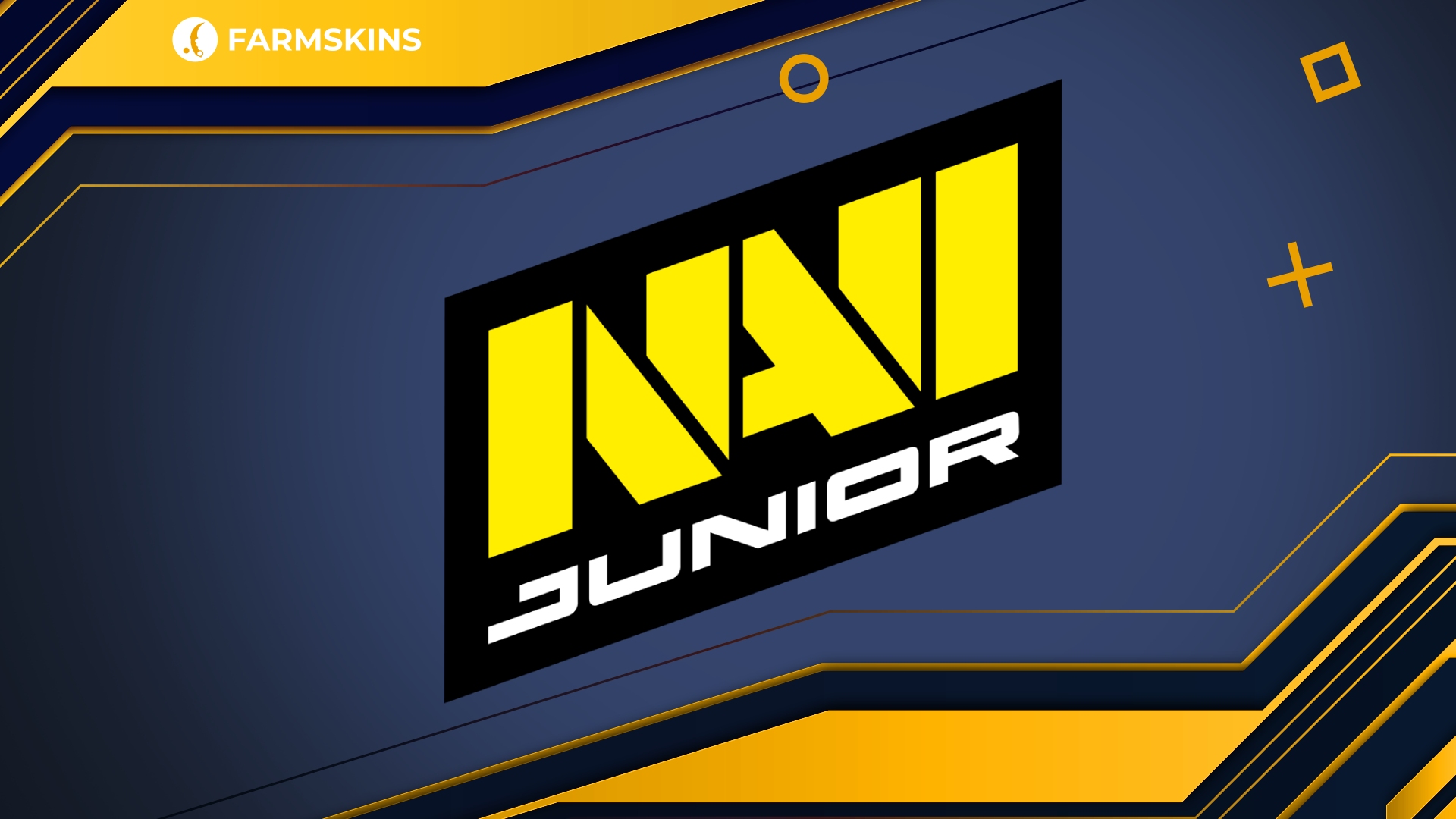 NAVI Announces Recruitment for CS2 Academy