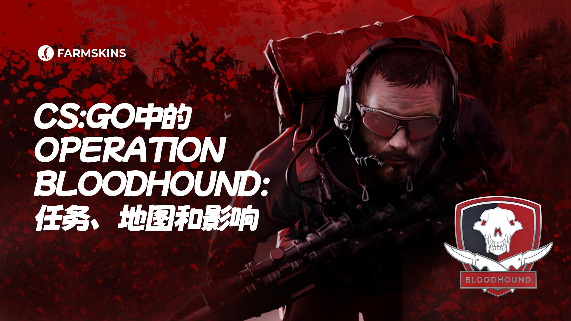 CS:GO 恶犬行动